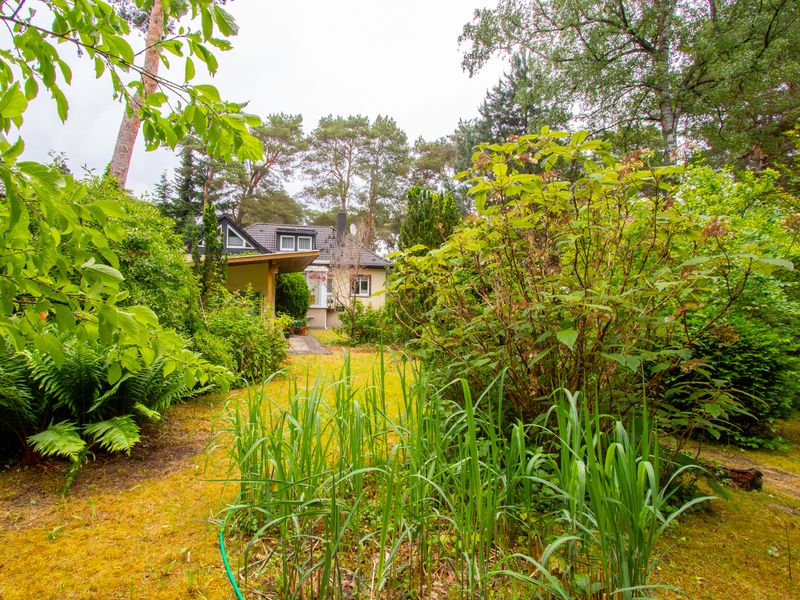 Charmantes Einfamilienhaus mit großem Grundstück direkt am Wald